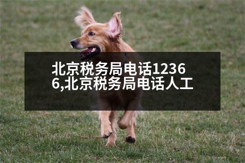 北京稅務局電話12366,北京稅務局電話人工