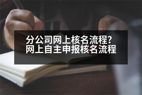 分公司網(wǎng)上核名流程？網(wǎng)上自主申報(bào)核名流程