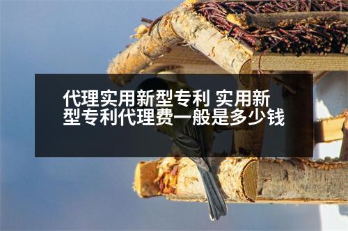 代理實(shí)用新型專利 實(shí)用新型專利代理費(fèi)一般是多少錢