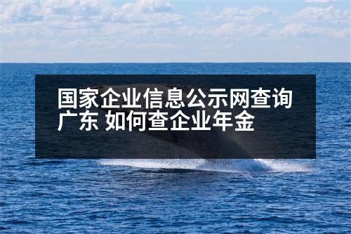 國(guó)家企業(yè)信息公示網(wǎng)查詢廣東 如何查企業(yè)年金