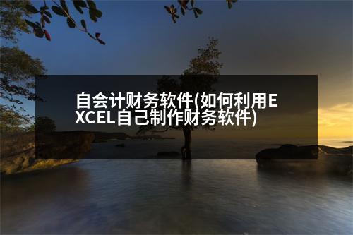 自會(huì)計(jì)財(cái)務(wù)軟件(如何利用EXCEL自己制作財(cái)務(wù)軟件)