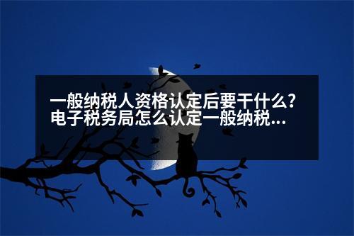 一般納稅人資格認定后要干什么？電子稅務(wù)局怎么認定一般納稅人