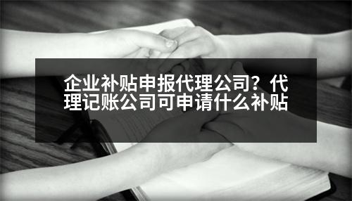 企業(yè)補(bǔ)貼申報代理公司？代理記賬公司可申請什么補(bǔ)貼