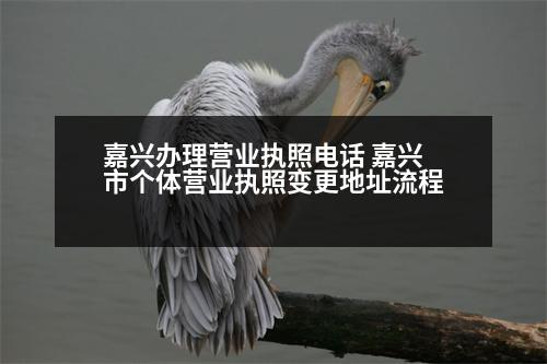 嘉興辦理營(yíng)業(yè)執(zhí)照電話(huà) 嘉興市個(gè)體營(yíng)業(yè)執(zhí)照變更地址流程