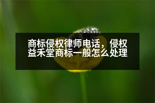 商標(biāo)侵權(quán)律師電話，侵權(quán)益禾堂商標(biāo)一般怎么處理