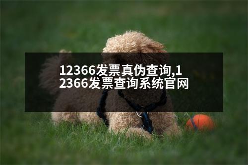 12366發(fā)票真?zhèn)尾樵?12366發(fā)票查詢系統(tǒng)官網