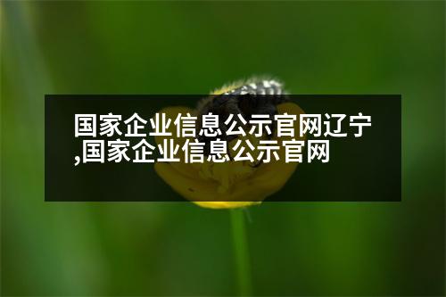 國家企業(yè)信息公示官網(wǎng)遼寧,國家企業(yè)信息公示官網(wǎng)