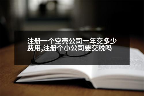 注冊一個空殼公司一年交多少費(fèi)用,注冊個小公司要交稅嗎