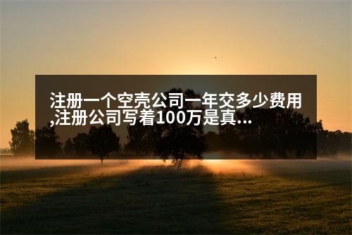 注冊(cè)一個(gè)空殼公司一年交多少費(fèi)用,注冊(cè)公司寫著100萬(wàn)是真錢嗎