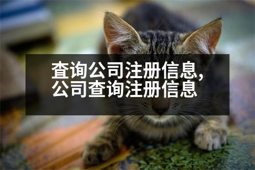 査詢公司注冊(cè)信息,公司查詢注冊(cè)信息