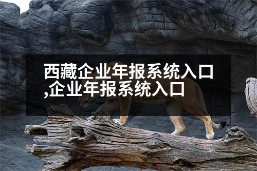 西藏企業(yè)年報系統(tǒng)入口,企業(yè)年報系統(tǒng)入口