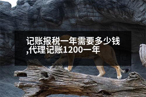 記賬報(bào)稅一年需要多少錢(qián),代理記賬1200一年