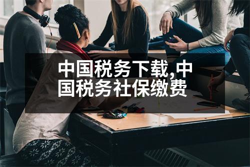 中國稅務下載,中國稅務社保繳費