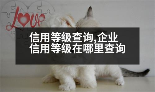 信用等級查詢,企業(yè)信用等級在哪里查詢