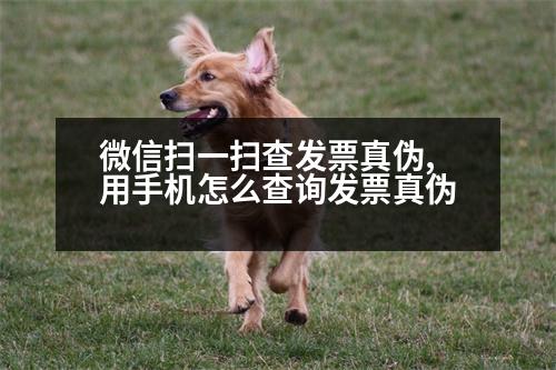 微信掃一掃查發(fā)票真?zhèn)?用手機(jī)怎么查詢發(fā)票真?zhèn)?></p>
<p>1、手機(jī)查詢</p>
<p>可以自行在電腦上查詢發(fā)票,一般是在“國(guó)家稅務(wù)總局”官網(wǎng)上查詢發(fā)票。</p>
<p>2、手機(jī)查詢</p>
<p>使用“電子稅務(wù)局”查詢發(fā)票,只能查發(fā)票是否作廢,不能查詢發(fā)票號(hào)碼是否已經(jīng)開具。</p>
<p>3、納稅人自助查詢</p>
<p>使用“自助發(fā)票查詢”獲取發(fā)票代碼,可以對(duì)發(fā)票號(hào)碼進(jìn)行相應(yīng)的查詢,一般為10-20個(gè)工作日。</p>
<p>手機(jī)查詢</p>
<p>使用“電子稅務(wù)局”查詢發(fā)票號(hào)碼,可以通過輸入納稅人識(shí)別號(hào)、發(fā)票號(hào)、份數(shù)等相應(yīng)信息進(jìn)行查詢,主要可以通過輸入發(fā)票代碼、發(fā)票號(hào)、價(jià)稅合計(jì)以及發(fā)票申請(qǐng)人等相關(guān)信息查詢。</p>
<p>4、互聯(lián)網(wǎng)發(fā)票查詢</p>
<p>使用“電子稅務(wù)局”獲取發(fā)票信息,可以撥打全國(guó)統(tǒng)一發(fā)票號(hào)碼進(jìn)行查詢。</p>
<p>5、即時(shí)查詢</p>
<p>使用“電子稅務(wù)局”獲取發(fā)票號(hào)碼,可以通過手機(jī)查詢。</p>
<p>以上就是關(guān)于“查發(fā)票號(hào)碼是否已經(jīng)開具”的相關(guān)內(nèi)容,如有需要,您可以咨詢小微律政,專業(yè)團(tuán)隊(duì)為您辦理。</p>
<p>代理記賬報(bào)稅服務(wù)熱線:400-660-5066</p>
<p>編輯:姚的財(cái)務(wù)會(huì)計(jì)服務(wù)內(nèi)容</p>
<p>會(huì)計(jì)和稅務(wù)申報(bào)服務(wù)內(nèi)容包括:</p>
<p>1.建賬;</p>
<p>2.辦理稅務(wù)登記;</p>
<p>3.開具發(fā)票;</p>
<p>4.處理納稅申報(bào);</p>
<p>5.開具發(fā)票;</p>
<p>6.網(wǎng)上申報(bào)服務(wù);</p>
<p>7.接受稅務(wù)檢查;</p>
<p>8.辦理發(fā)票開戶手續(xù);</p>
<p>9.電子政務(wù)。</p>
<p>二、網(wǎng)上稅務(wù)局</p>
<p>一、電子稅務(wù)局地址</p>
<p>1.進(jìn)入深圳市稅務(wù)局官網(wǎng)。進(jìn)入稅務(wù)局官網(wǎng)首頁(yè),點(diǎn)擊“我要繳稅”。</p>
<p>2.進(jìn)入“辦稅服務(wù)廳”后,在首頁(yè)的“我要交稅”選擇“稅務(wù)會(huì)計(jì)服務(wù)”。</p>
<p>3.輸入納稅人識(shí)別號(hào)或統(tǒng)一社會(huì)信用代碼。</p>
<p>4.進(jìn)入服務(wù)稅收繳款書。登錄開票行,選擇“我要交稅”,進(jìn)入開票行。</p>
<p>5.進(jìn)入辦稅服務(wù)廳,選擇“發(fā)票行”。點(diǎn)擊“發(fā)票業(yè)務(wù)”,進(jìn)入開票行。</p>
<p>   以上是「網(wǎng)上稅務(wù)局」9.電子稅務(wù)局,希望可以幫到大家。</p>
                          <div   id=