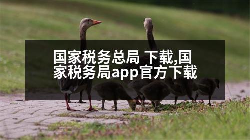 國家稅務總局 下載,國家稅務局app官方下載