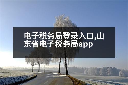 電子稅務(wù)局登錄入口,山東省電子稅務(wù)局app