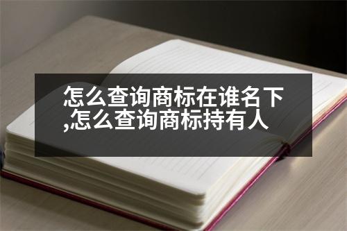 怎么查詢商標(biāo)在誰名下,怎么查詢商標(biāo)持有人