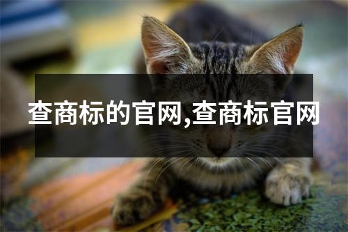 查商標(biāo)的官網(wǎng),查商標(biāo)官網(wǎng)