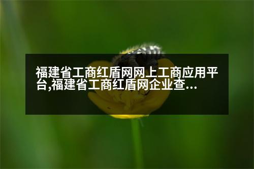 福建省工商紅盾網網上工商應用平臺,福建省工商紅盾網企業(yè)查詢