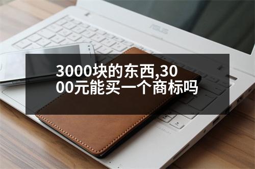 3000塊的東西,3000元能買一個商標嗎