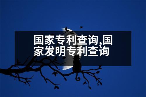 國(guó)家專利查詢,國(guó)家發(fā)明專利查詢