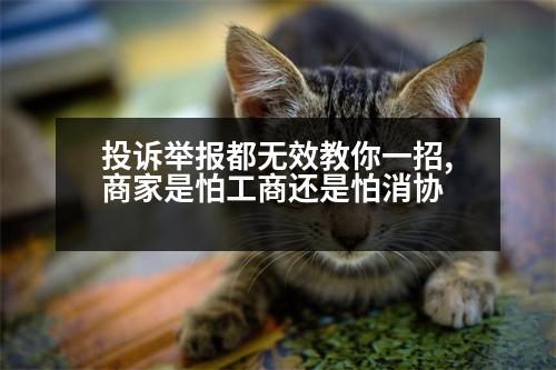 投訴舉報(bào)都無(wú)效教你一招,商家是怕工商還是怕消協(xié)