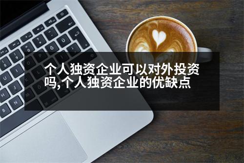 個(gè)人獨(dú)資企業(yè)可以對(duì)外投資嗎,個(gè)人獨(dú)資企業(yè)的優(yōu)缺點(diǎn)