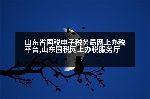 山東省國(guó)稅電子稅務(wù)局網(wǎng)上辦稅平臺(tái),山東國(guó)稅網(wǎng)上辦稅服務(wù)廳