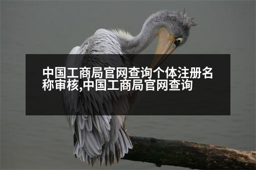 中國(guó)工商局官網(wǎng)查詢個(gè)體注冊(cè)名稱審核,中國(guó)工商局官網(wǎng)查詢