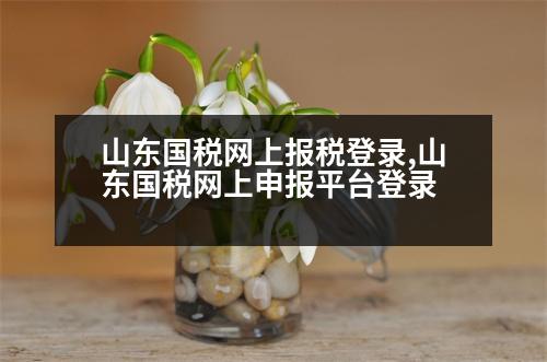 山東國稅網(wǎng)上報稅登錄,山東國稅網(wǎng)上申報平臺登錄