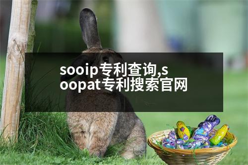 sooip專利查詢,soopat專利搜索官網(wǎng)