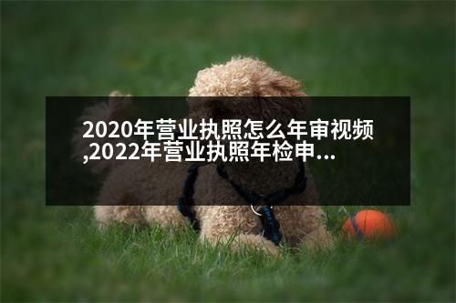 2020年?duì)I業(yè)執(zhí)照怎么年審視頻,2022年?duì)I業(yè)執(zhí)照年檢申報(bào)視頻