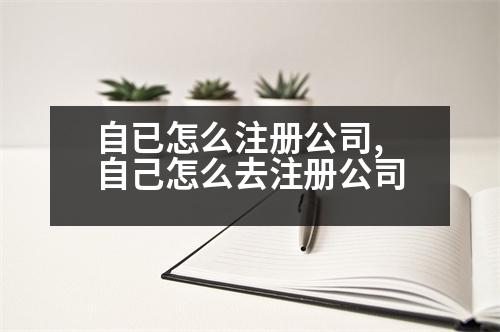 自已怎么注冊公司,自己怎么去注冊公司