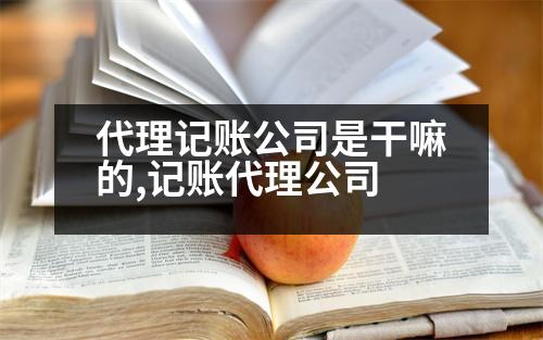 代理記賬公司是干嘛的,記賬代理公司