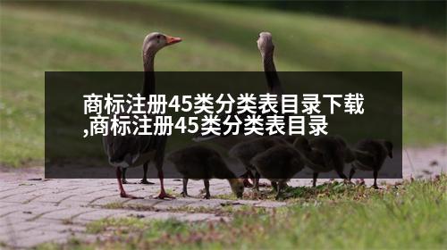 商標(biāo)注冊45類分類表目錄下載,商標(biāo)注冊45類分類表目錄