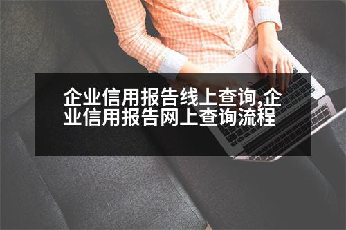 企業(yè)信用報(bào)告線上查詢,企業(yè)信用報(bào)告網(wǎng)上查詢流程