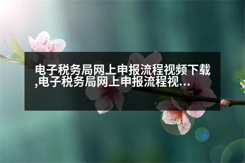 電子稅務局網上申報流程視頻下載,電子稅務局網上申報流程視頻