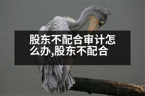 股東不配合審計(jì)怎么辦,股東不配合