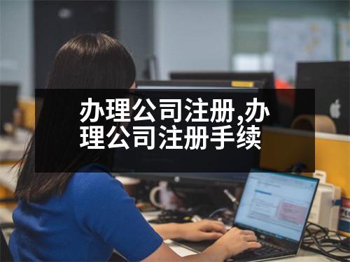 辦理公司注冊,辦理公司注冊手續(xù)