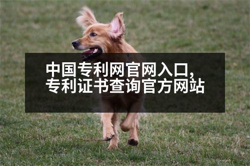 中國專利網(wǎng)官網(wǎng)入口,專利證書查詢官方網(wǎng)站