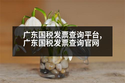 廣東國稅發(fā)票查詢平臺(tái),廣東國稅發(fā)票查詢官網(wǎng)