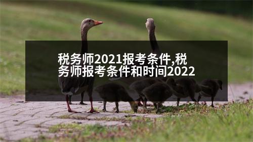 稅務(wù)師2021報考條件,稅務(wù)師報考條件和時間2022