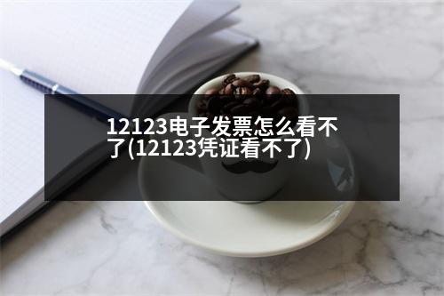 12123電子發(fā)票怎么看不了(12123憑證看不了)