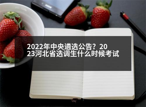 2022年中央遴選公告？2023河北省選調(diào)生什么時(shí)候考試