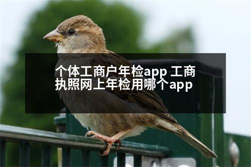 個體工商戶年檢app 工商執(zhí)照網(wǎng)上年檢用哪個app