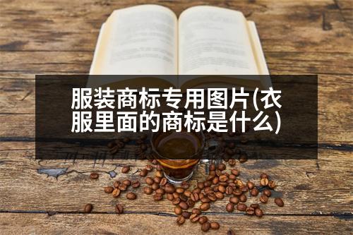 服裝商標(biāo)專用圖片(衣服里面的商標(biāo)是什么)