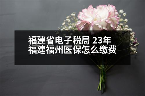 福建省電子稅局 23年福建福州醫(yī)保怎么繳費(fèi)