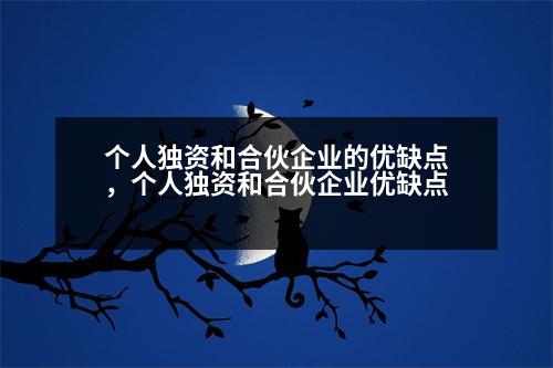 個(gè)人獨(dú)資和合伙企業(yè)的優(yōu)缺點(diǎn)，個(gè)人獨(dú)資和合伙企業(yè)優(yōu)缺點(diǎn)