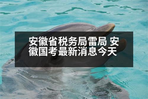 安徽省稅務(wù)局雷局 安徽國(guó)考最新消息今天